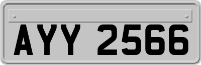 AYY2566