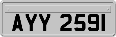 AYY2591