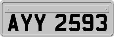 AYY2593