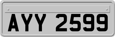 AYY2599