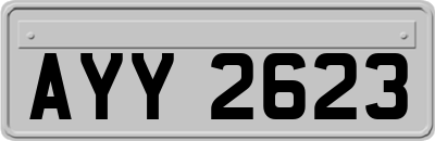 AYY2623