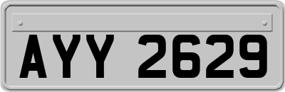 AYY2629