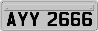 AYY2666