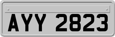 AYY2823