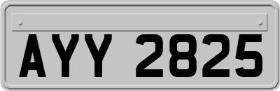 AYY2825