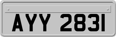 AYY2831