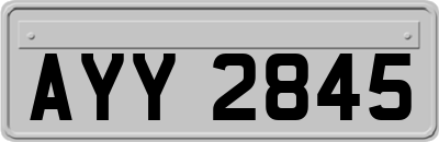 AYY2845