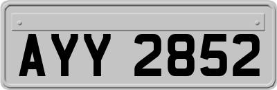 AYY2852