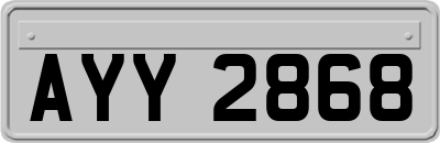 AYY2868