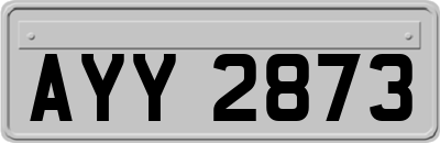 AYY2873