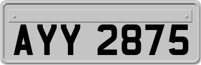 AYY2875