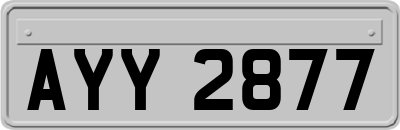AYY2877