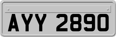 AYY2890