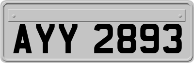 AYY2893
