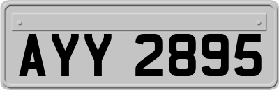 AYY2895