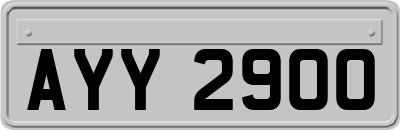 AYY2900