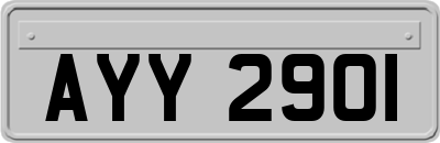 AYY2901