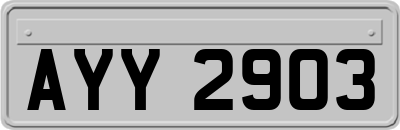 AYY2903