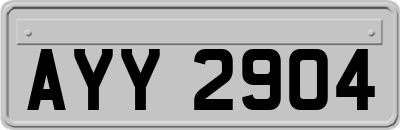 AYY2904