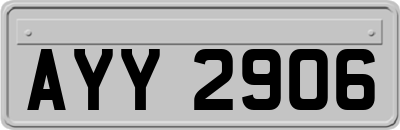 AYY2906