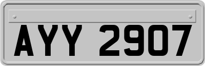 AYY2907