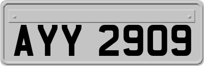 AYY2909