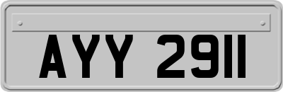 AYY2911