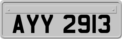 AYY2913