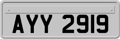 AYY2919