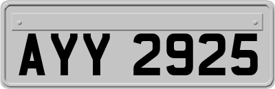 AYY2925
