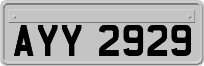 AYY2929