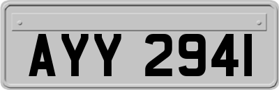 AYY2941