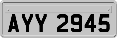 AYY2945