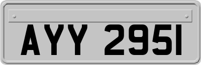 AYY2951