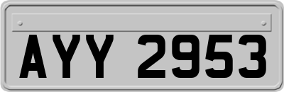 AYY2953