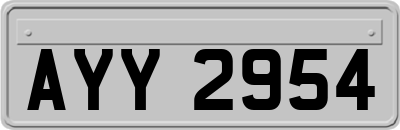 AYY2954