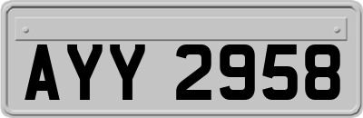 AYY2958