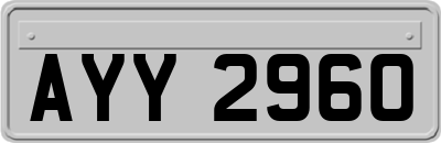 AYY2960