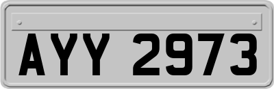 AYY2973