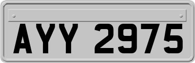 AYY2975