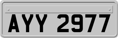 AYY2977