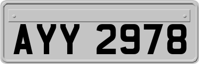 AYY2978