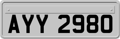 AYY2980