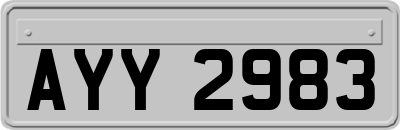 AYY2983