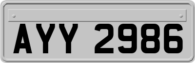 AYY2986