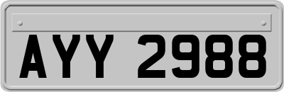 AYY2988