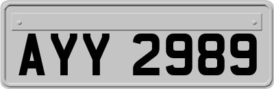 AYY2989
