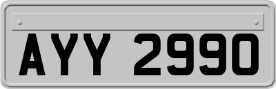 AYY2990