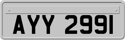 AYY2991