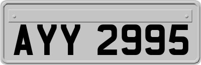 AYY2995